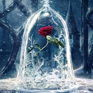 Meet your Posher, Sienna